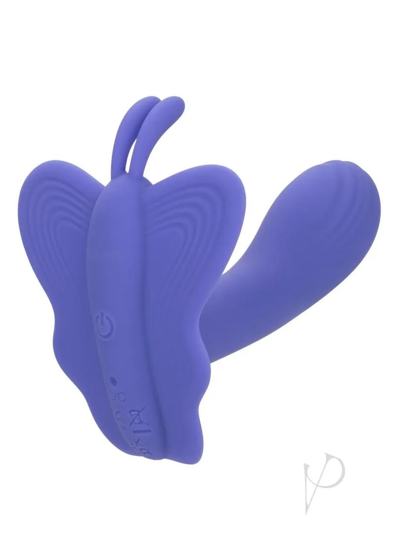 Calexotics Connect Venus Butterfly